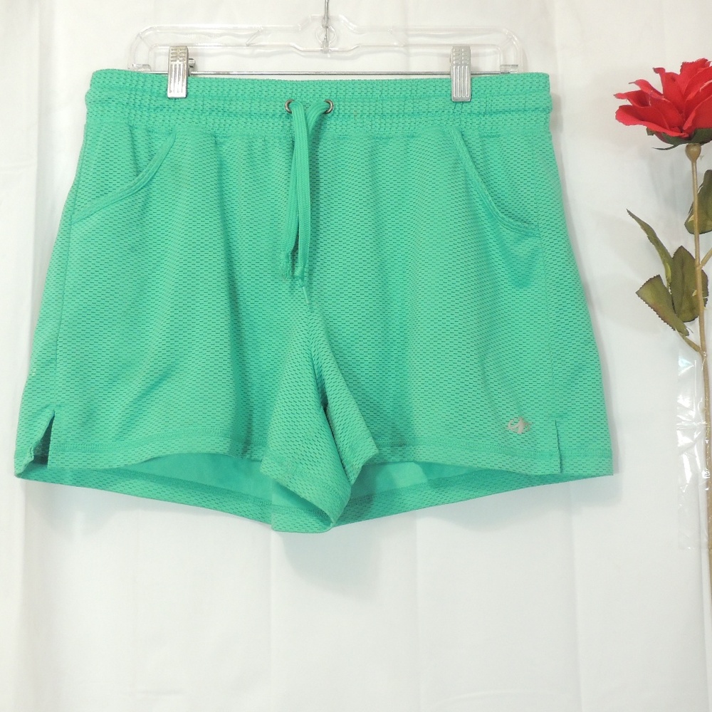 NORDITRACK SHORTS. SIZE LARGE